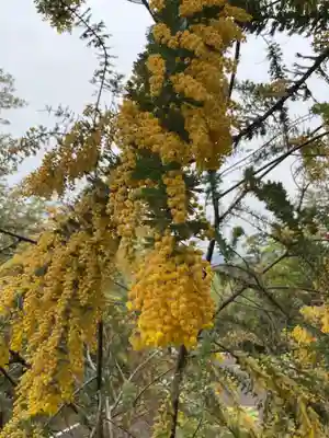 日龍峯寺(高澤観音)(美濃清水)(岐阜県)
