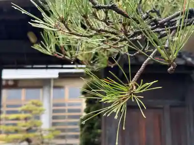 西方山極楽寺(岐阜県)