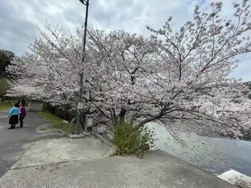 厳島神社(広島県)