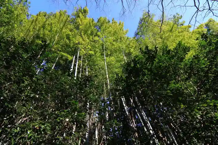 日枝神社の自然