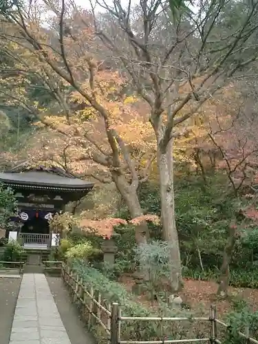 円覚寺の庭園