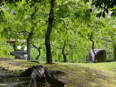 城南宮(京都府)