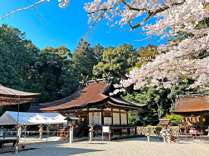 御上神社の本殿・本堂