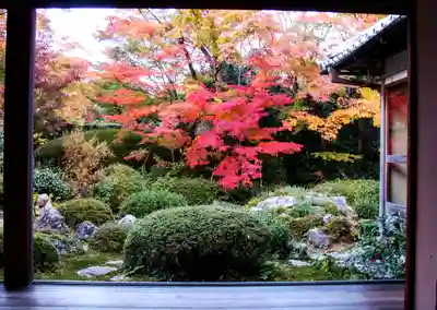 源光庵(京都府)