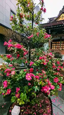 太上神社の自然