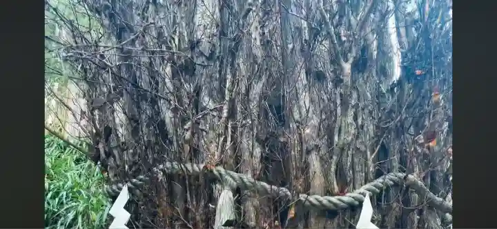 貴船神社(京都府)