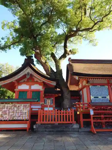 宇佐神宮(大分県)