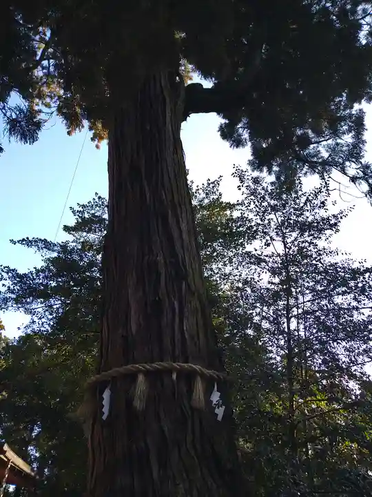 香取神宮(千葉県)