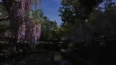 歌泉堂（春日大社神苑萬葉植物園内鎮座）(奈良県)