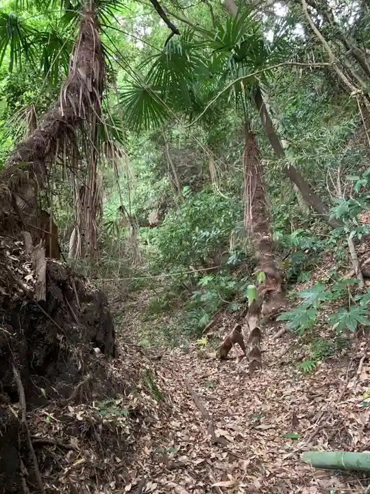 惶根神社の景色