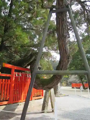 香椎宮の建物その他