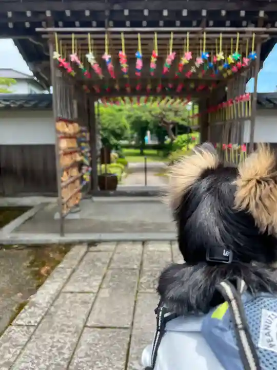 大室山龍渓院の山門・神門