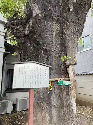 品川寺(東京都)