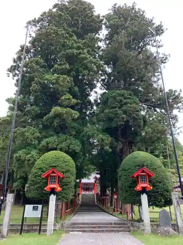 遠野郷八幡宮の自然