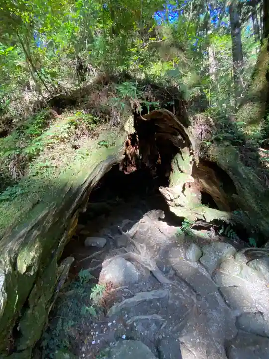 木魂神社(鹿児島県)