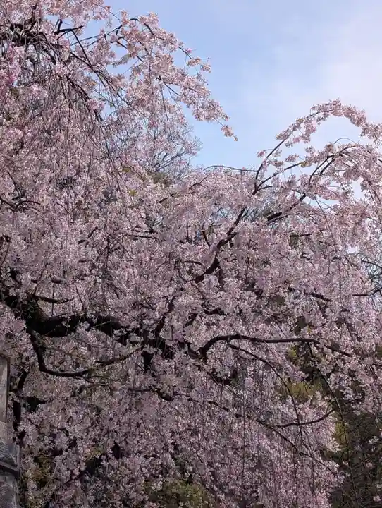 根岸八幡神社(神奈川県)