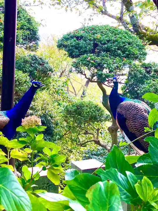 楽法寺(雨引観音)(茨城県)