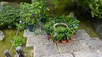 勝林寺(京都府)