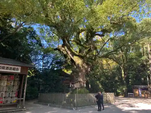 熱田神宮の自然