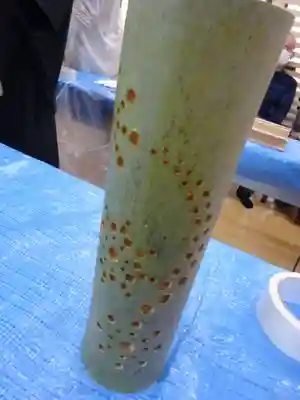 伊勢原 法泉寺の体験その他