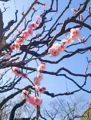 永平寺別院長谷寺(東京都)