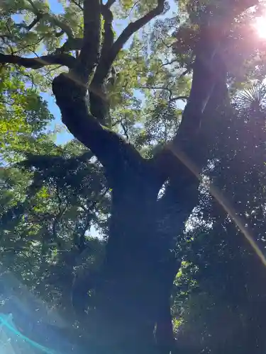 月讀宮（皇大神宮別宮）(三重県)