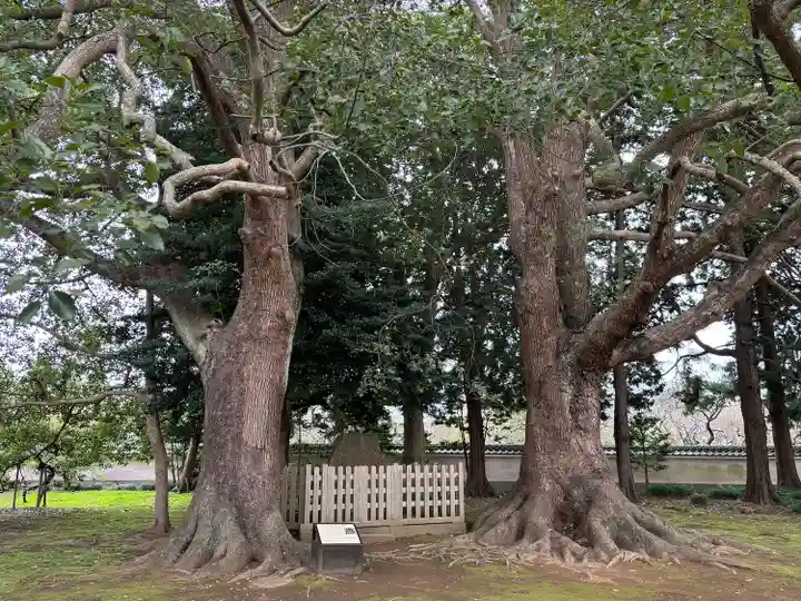 弘道館鹿島神社(茨城県)