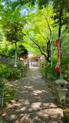 大徳院の{uncategorized: "未分類", other: "その他", undefined: "問題あり", building: "その他建物", grave: "お墓", sacred_gate: "鳥居", guardian: "狛犬", statue: "像", buddha: "仏像", history: "歴史", nature: "自然", garden: "庭園", animal: "動物", pagoda: "塔", temizu: "手水舎", mountain_gate: "山門・神門", sanctuary: "本殿・本堂", subordinate: "末社・摂社", art: "芸術", scenery: "景色", jizo: "地蔵", ema: "絵馬", goshuin: "御朱印", omikuji: "おみくじ", items: "授与品その他", amulet: "お守り", goshuincho: "御朱印帳", eats: "食事", festival: "お祭り", votive_dance: "神楽", shichigosan: "七五三参", wedding: "結婚式", experience: "体験その他", initially: "初詣", around: "周辺", anti_infection: "感染症対策"}