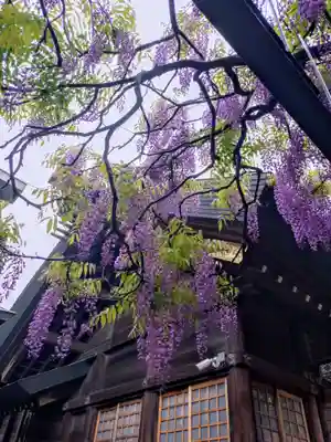 國領神社(東京都)