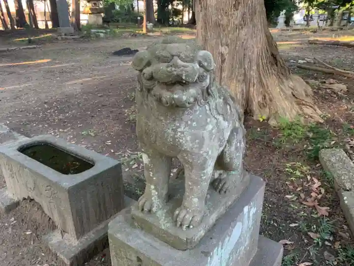 三嶋神社の狛犬