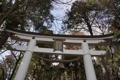 宝登山神社奥宮(埼玉県)