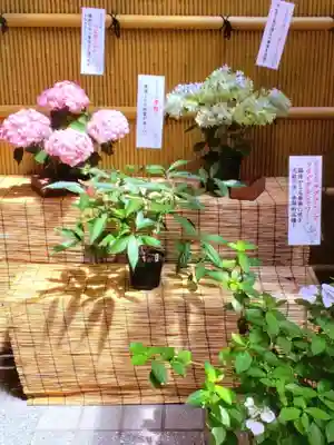 十番稲荷神社(東京都)