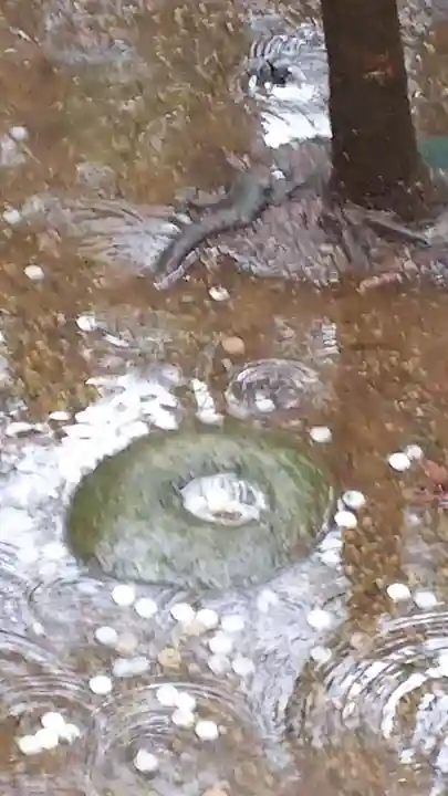 鹿島神宮のその他建物