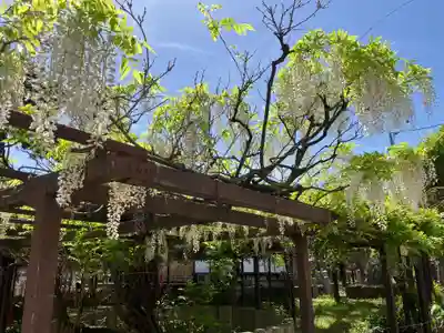 葛井寺(大阪府)