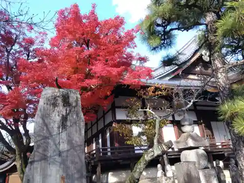 清浄華院(京都府)