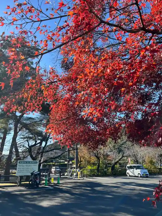 高麗神社(埼玉県)