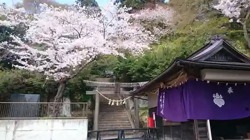 日吉山王神社の自然