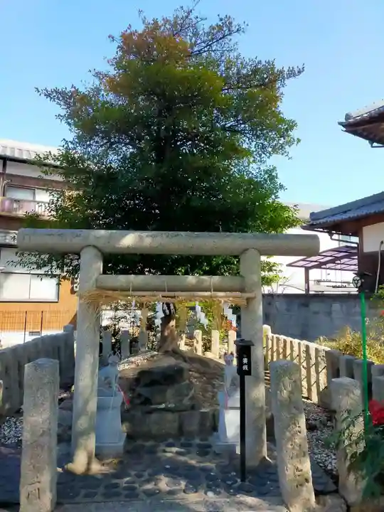 市場稲荷神社(大阪府)