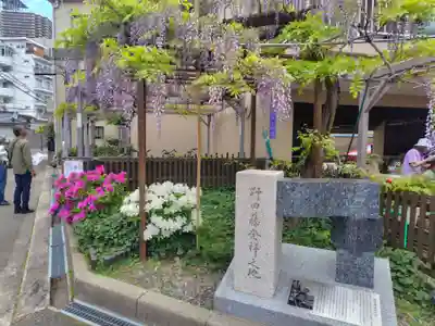 藤之宮　春日神社（野田の藤跡）(大阪府)