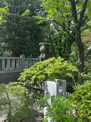 彌彦神社　(伊夜日子神社)の狛犬