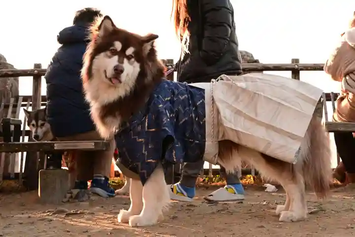 東雲神社(愛媛県)