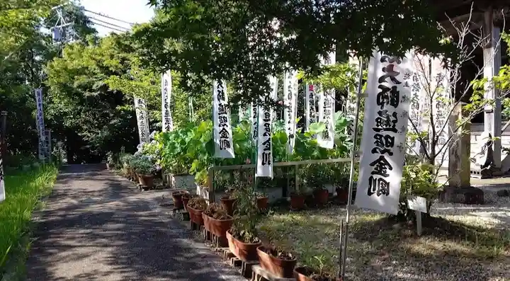 洞雲寺のその他建物