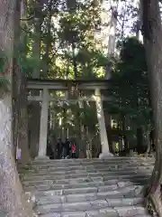 飛瀧神社（熊野那智大社別宮）の鳥居