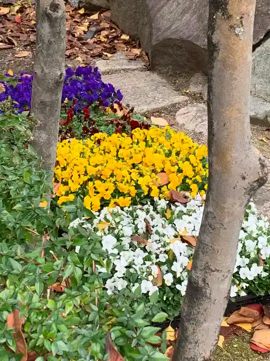 伊和志津神社(兵庫県)