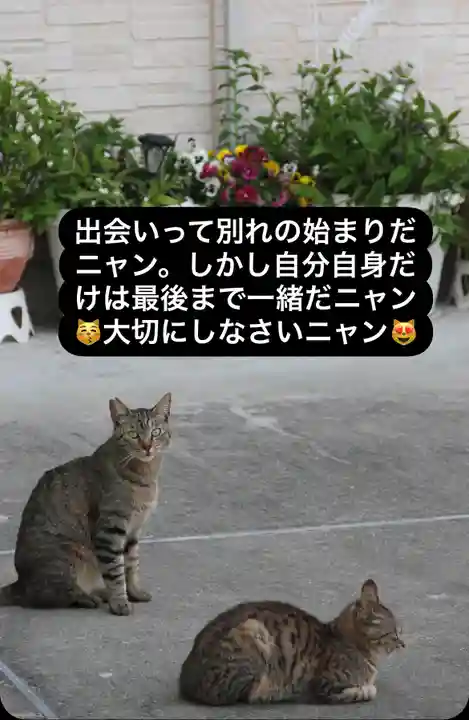 専念寺(大阪府)