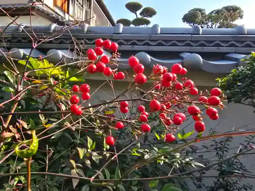 浄土寺(奈良県)