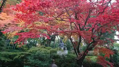 榮攝院（栄摂院）の自然