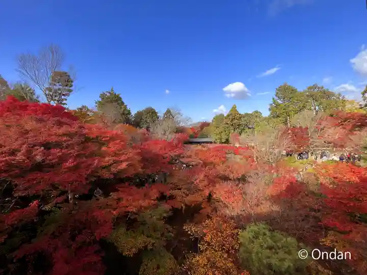 東福禅寺(東福寺)(京都府)