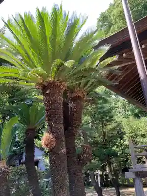 前鳥神社(神奈川県)