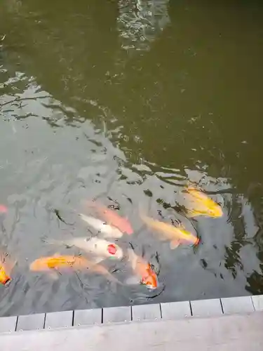 東郷神社(東京都)